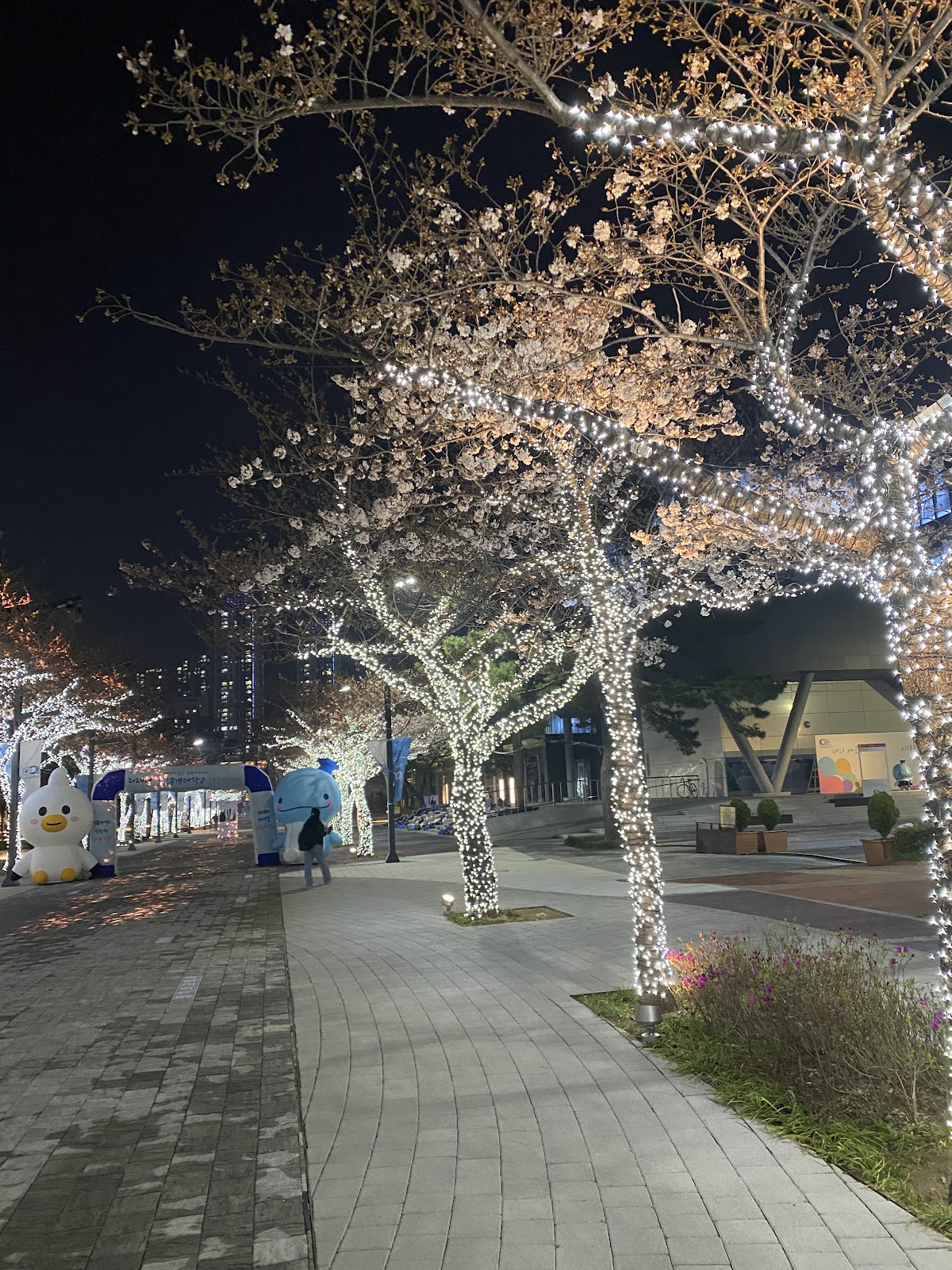 Pukyong National University photo 9