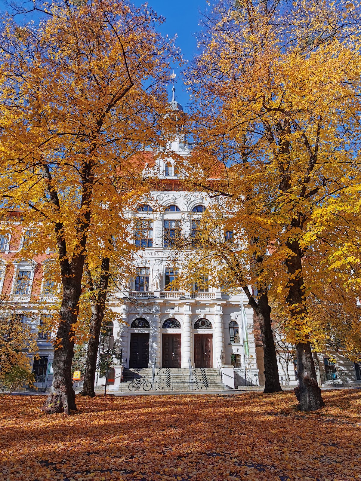 University of Natural Resources and Life Sciences, Vienna (BOKU) photo 9