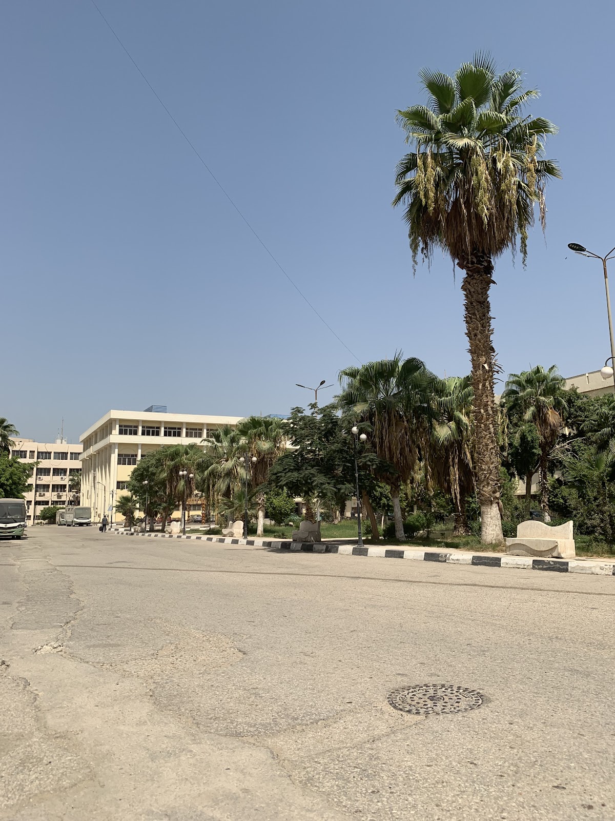 Fayoum University photo 5