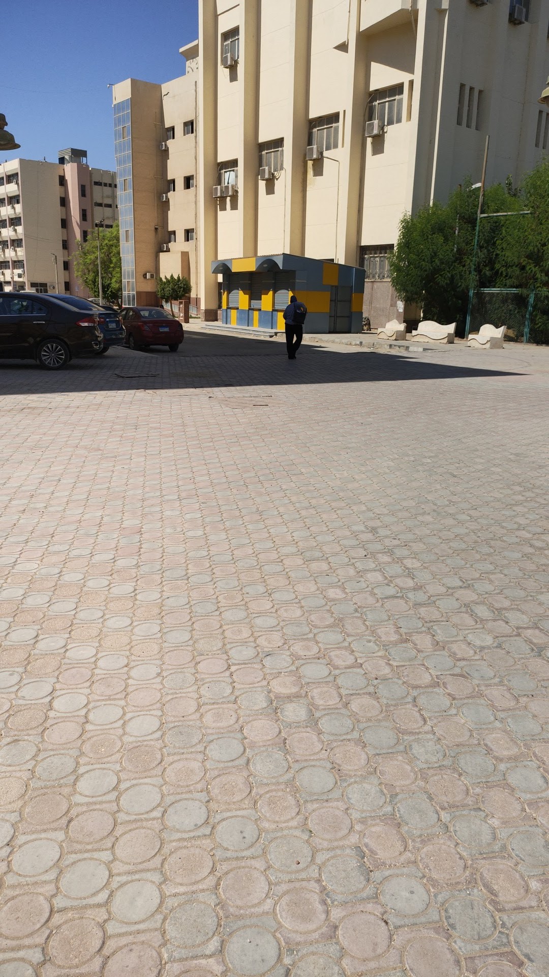 Fayoum University photo 7