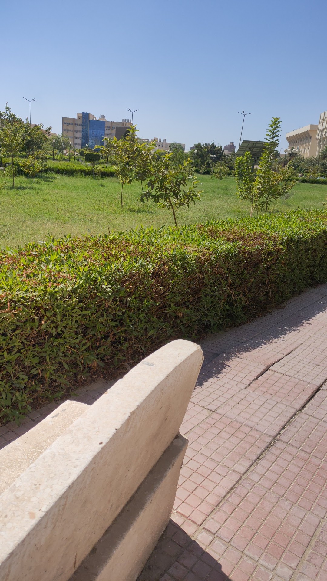 Fayoum University photo 8