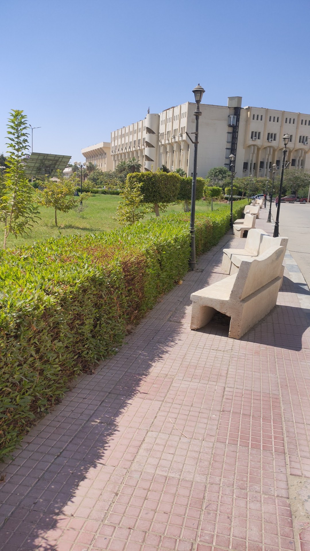Fayoum University photo 9