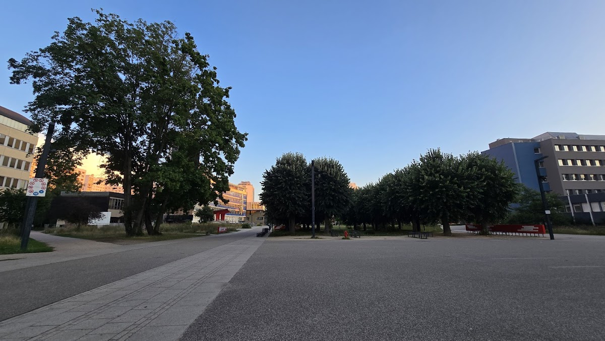 Université de Strasbourg photo 2