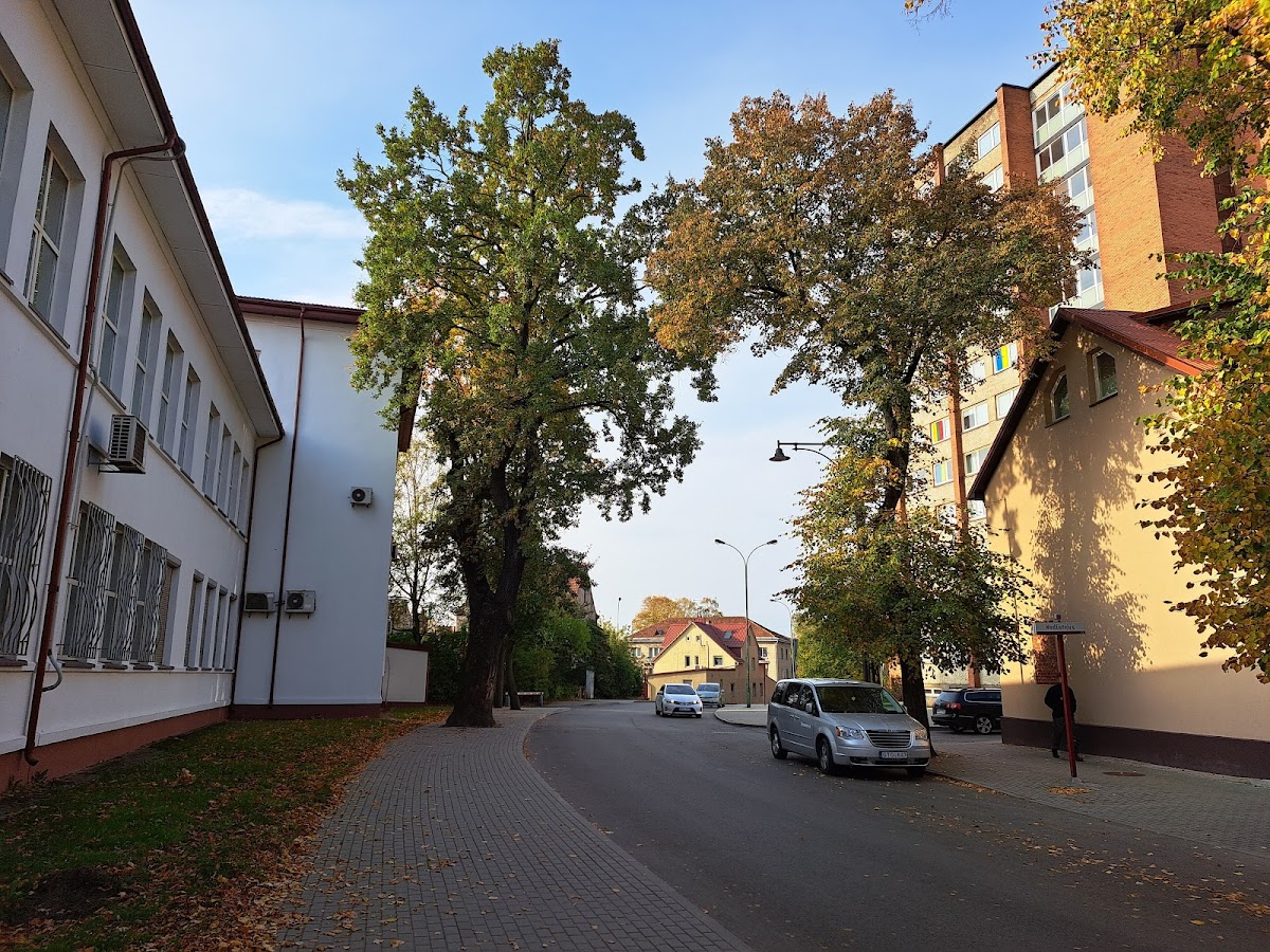 Lithuanian Maritime Academy photo 5