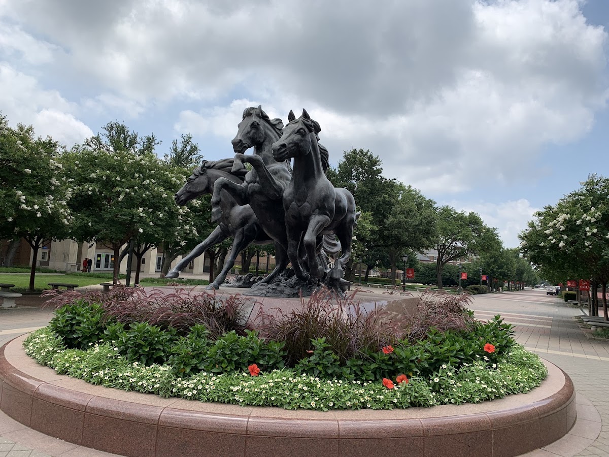 Southern Methodist University photo 2