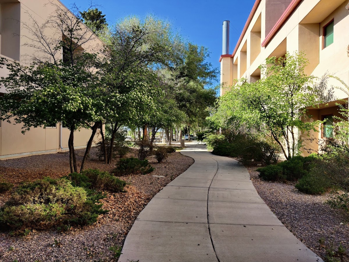 New Mexico Tech photo 8