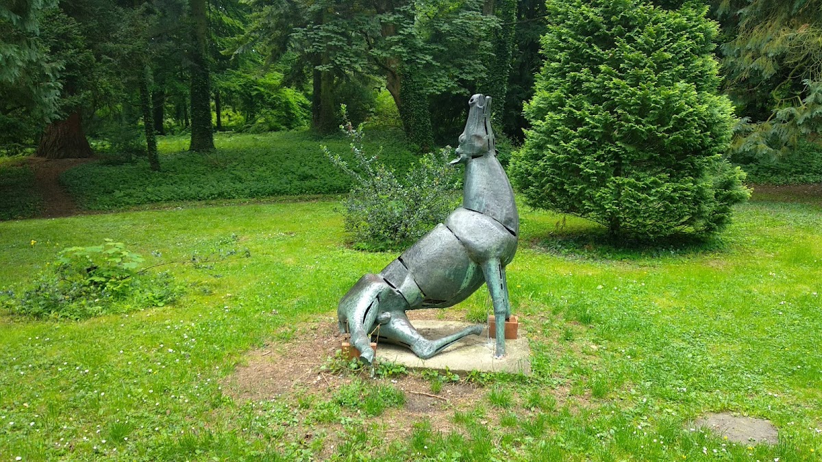 University of Sopron photo 1