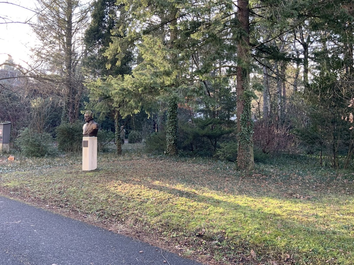 University of Sopron photo 6