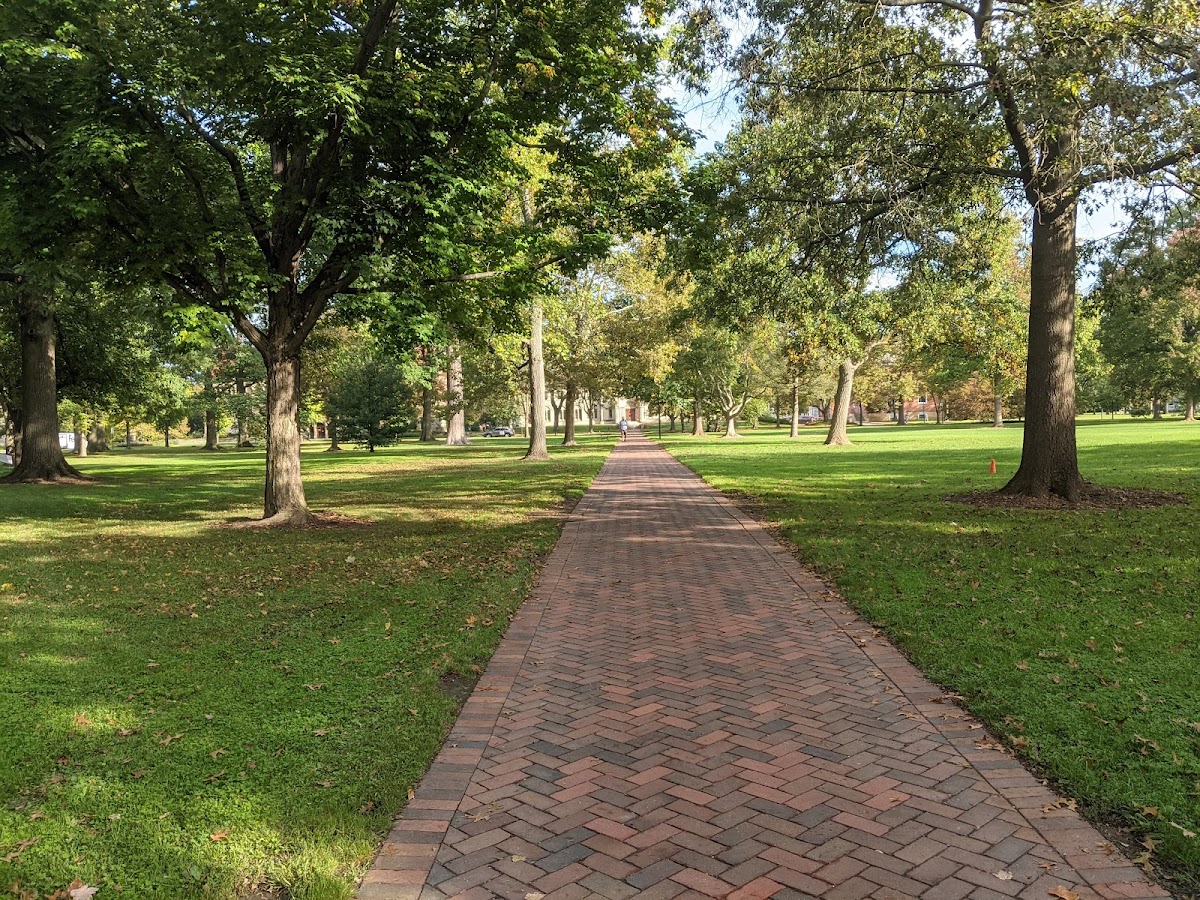 Oberlin College photo 3