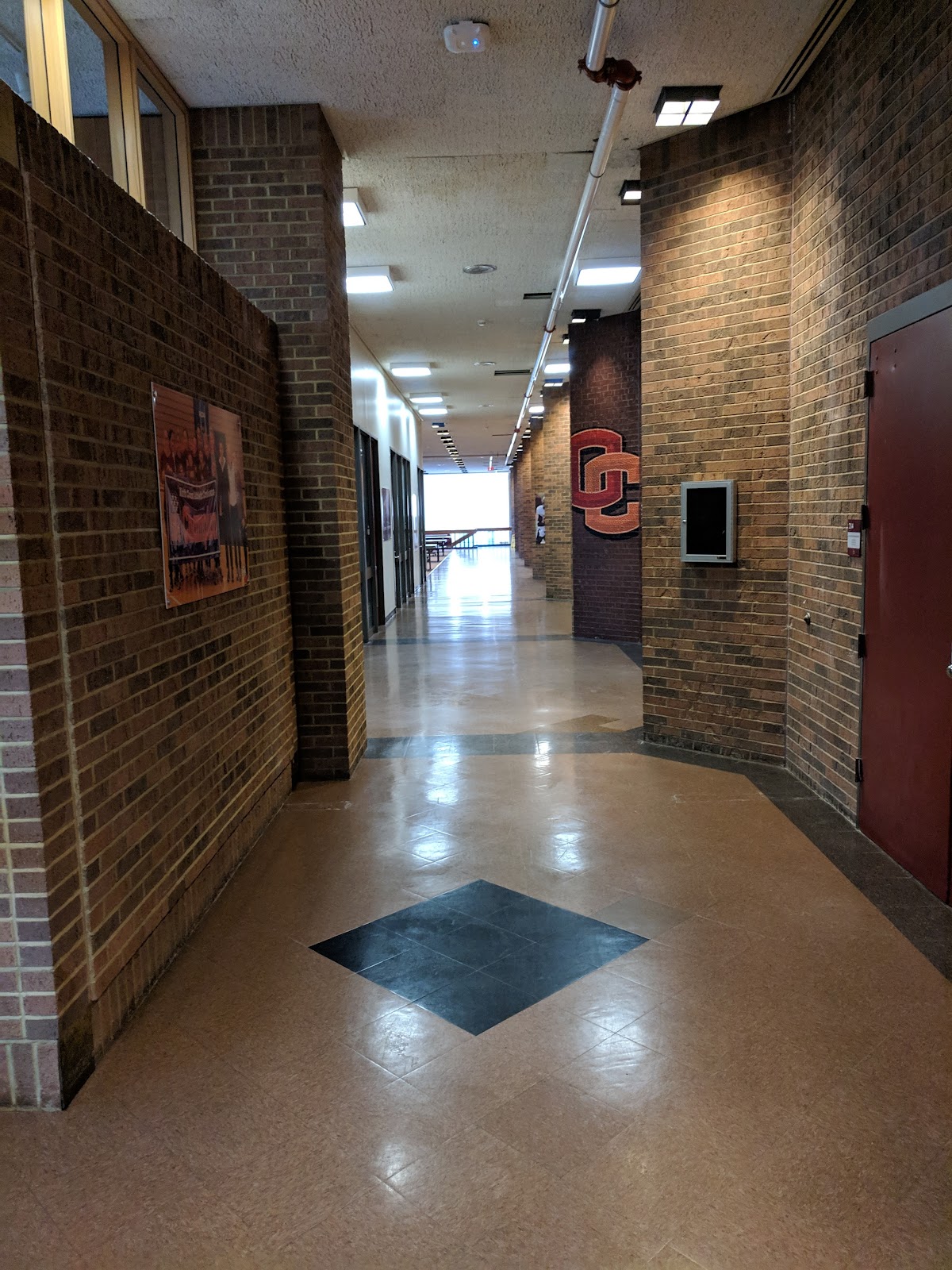 Oberlin College photo 7