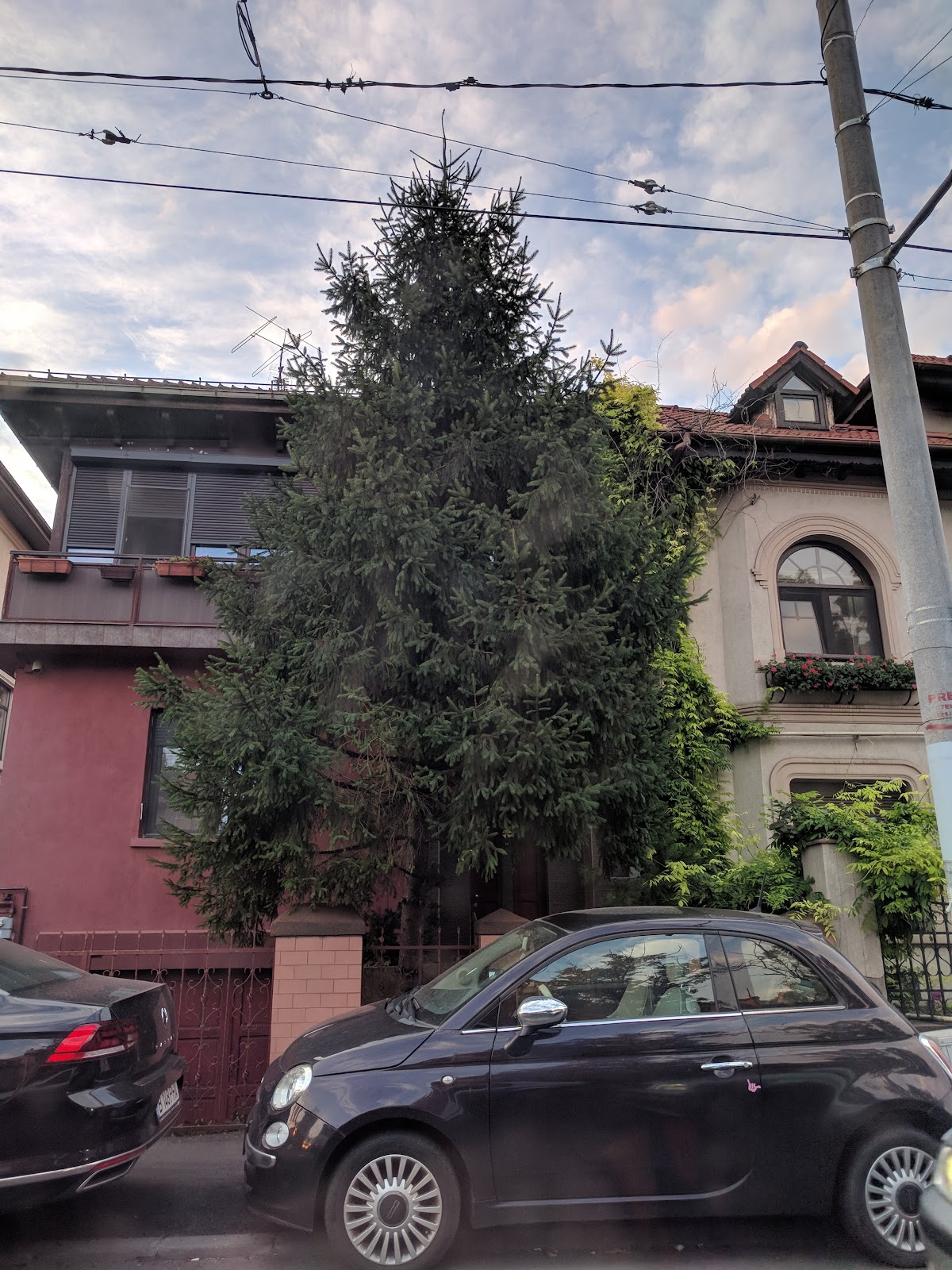 National Academy of Information photo 6