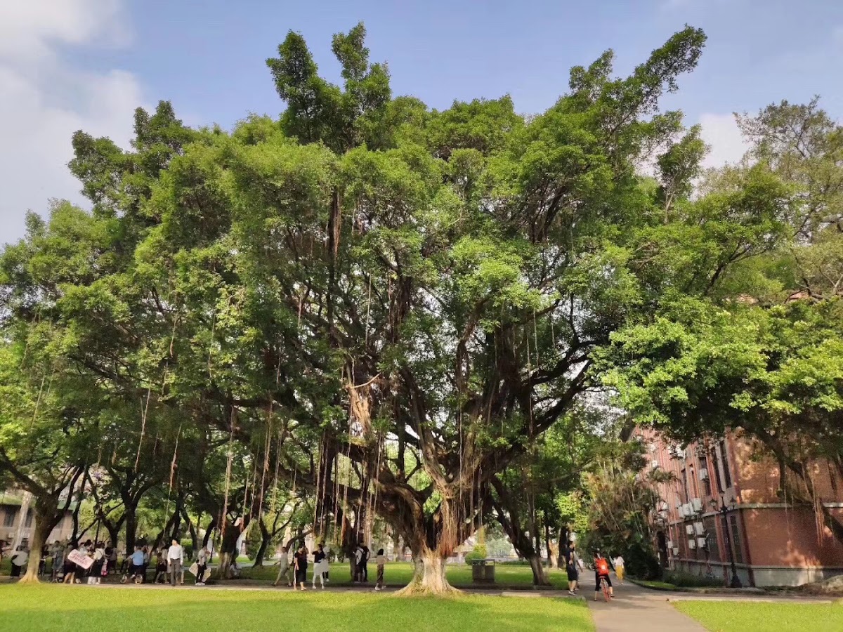 Sun Yat-sen University photo 7