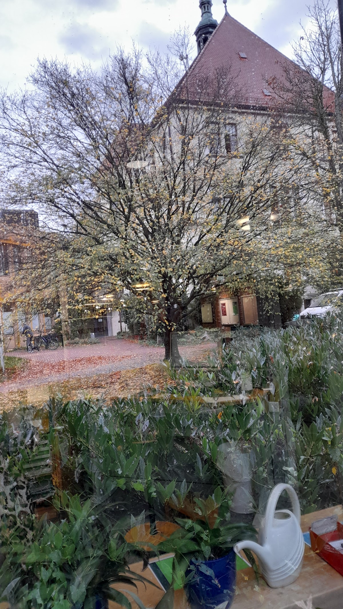 Hochschule für Musik Trossingen photo 7