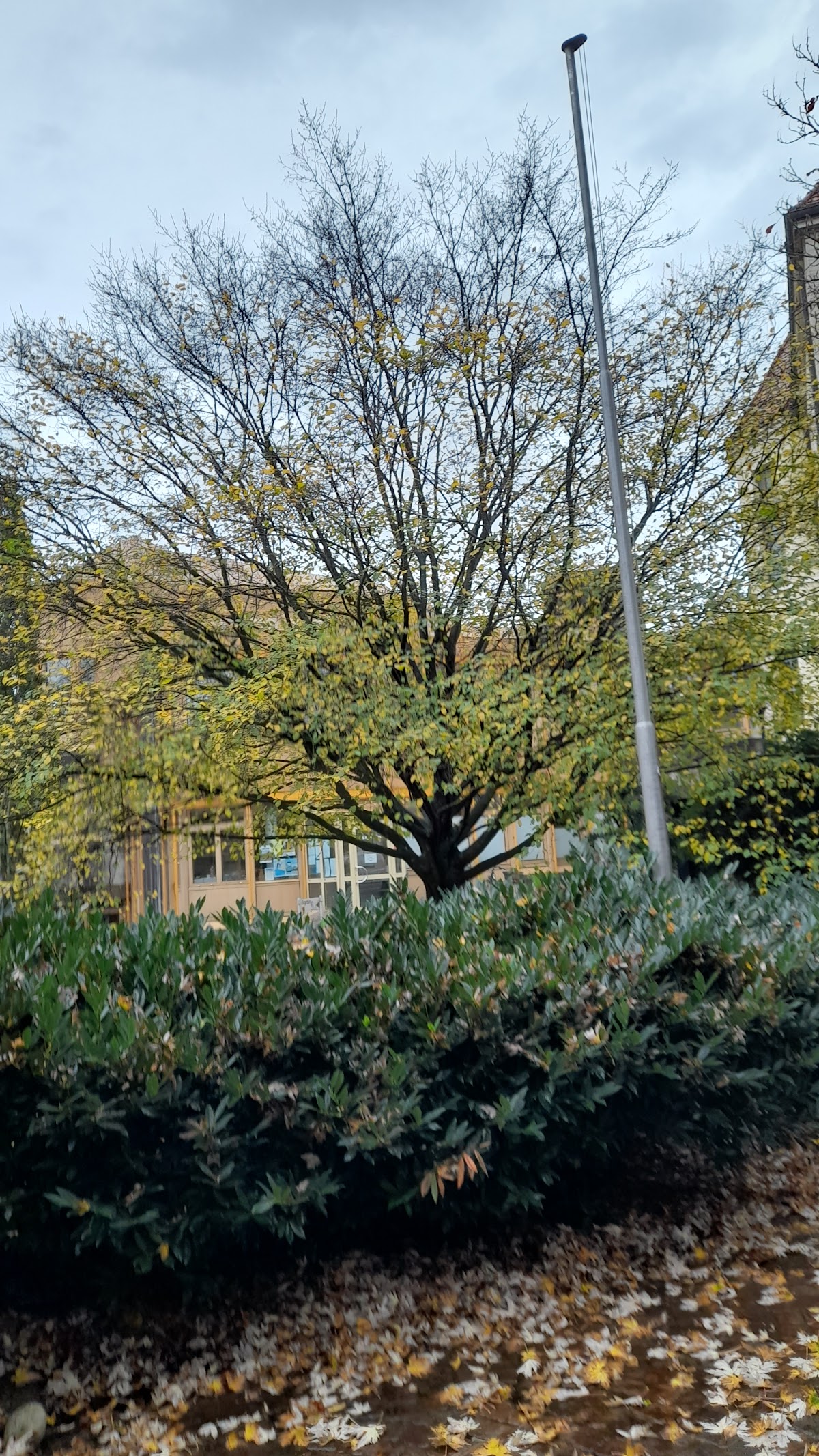 Hochschule für Musik Trossingen photo 8