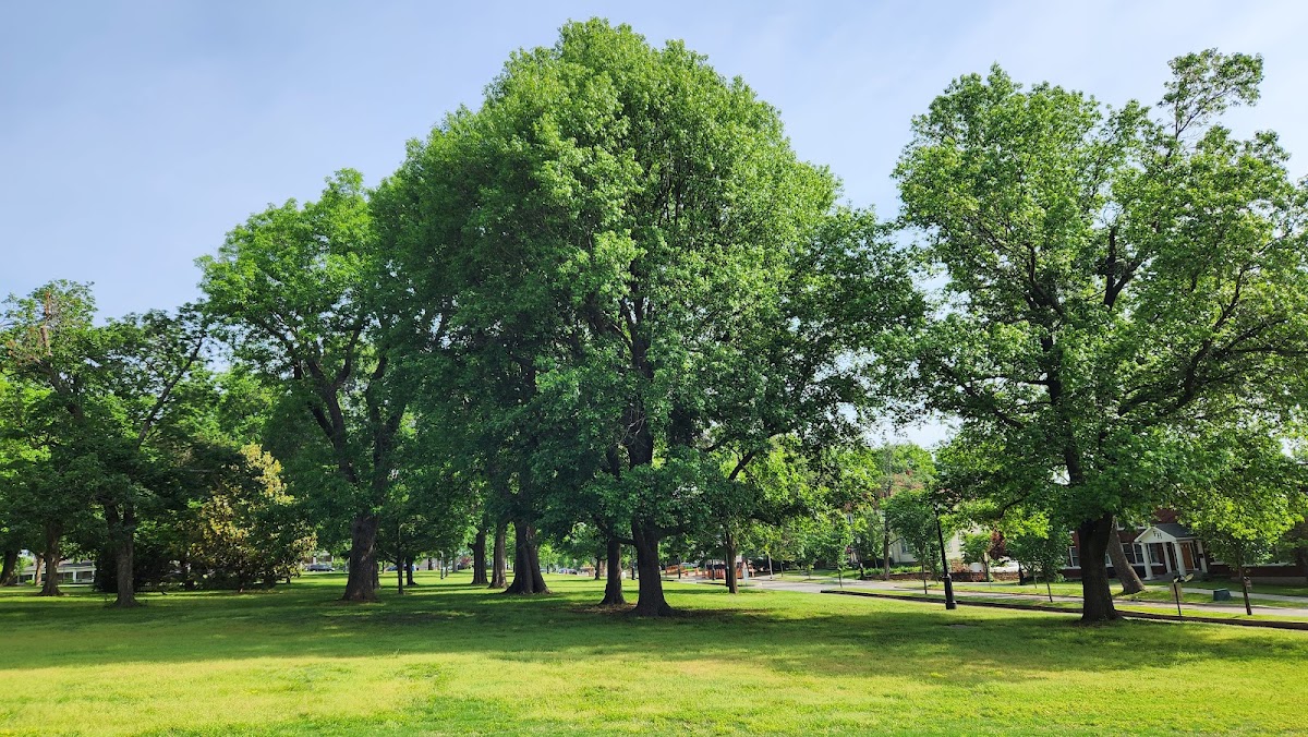 University of Arkansas photo 1