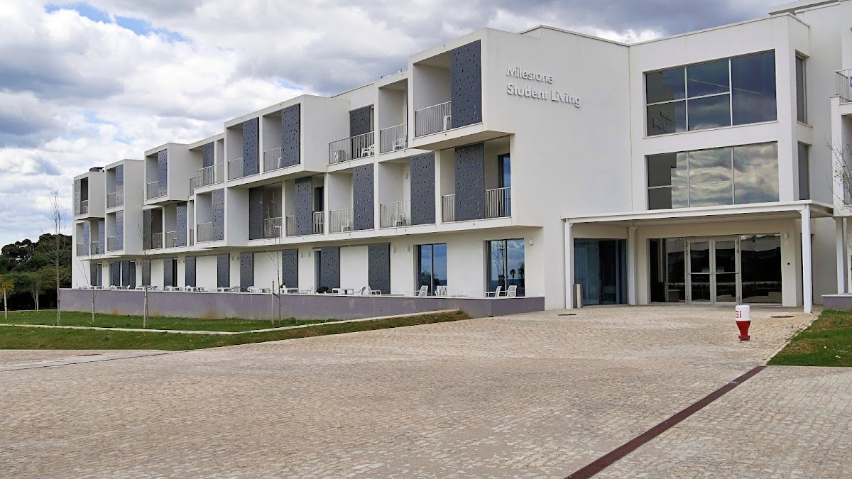 Nova School of Business & Economics photo 5