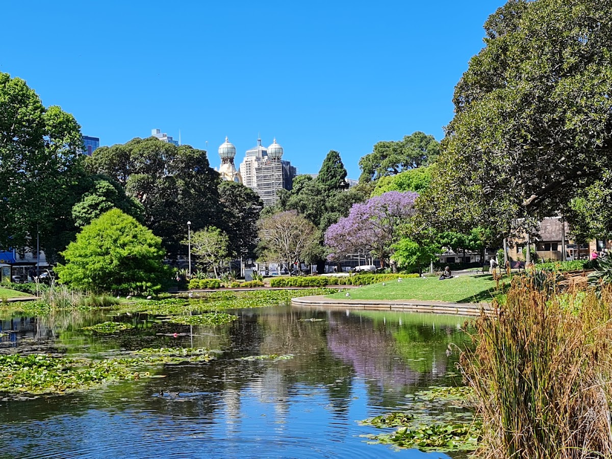 The University of Sydney photo 8