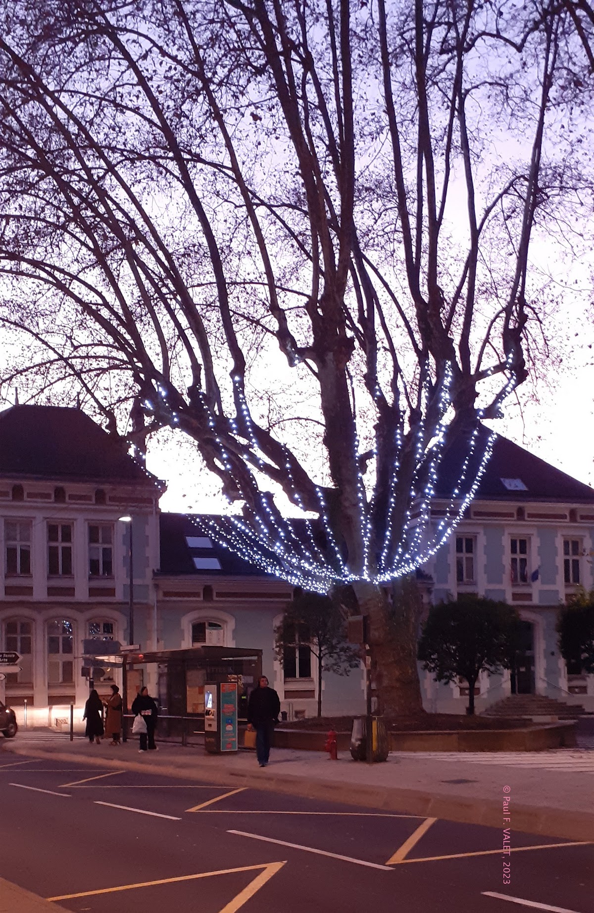 Université Savoie Mont Blanc photo 8
