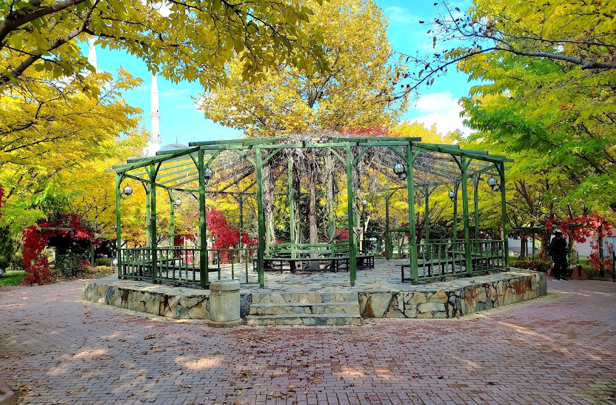 Selçuk University photo 4