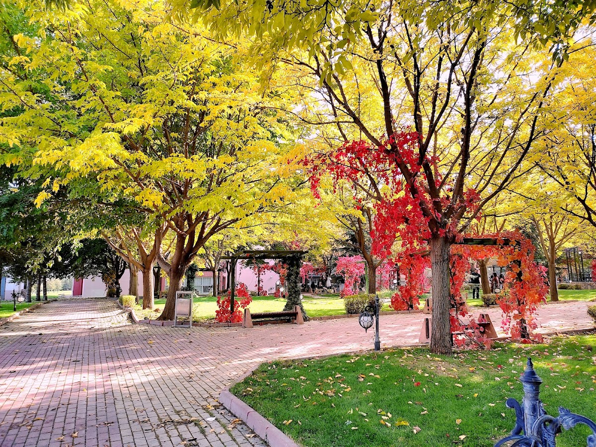 Selçuk University photo 7