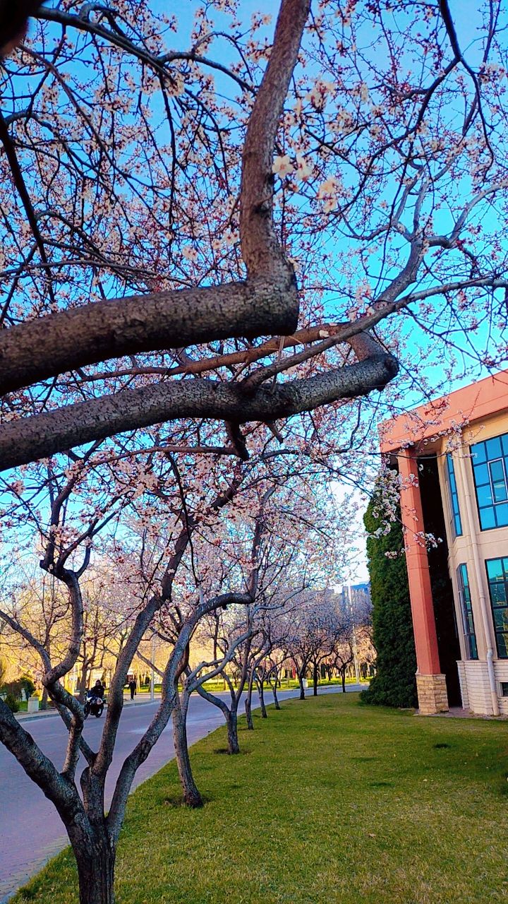 Selçuk University photo 9