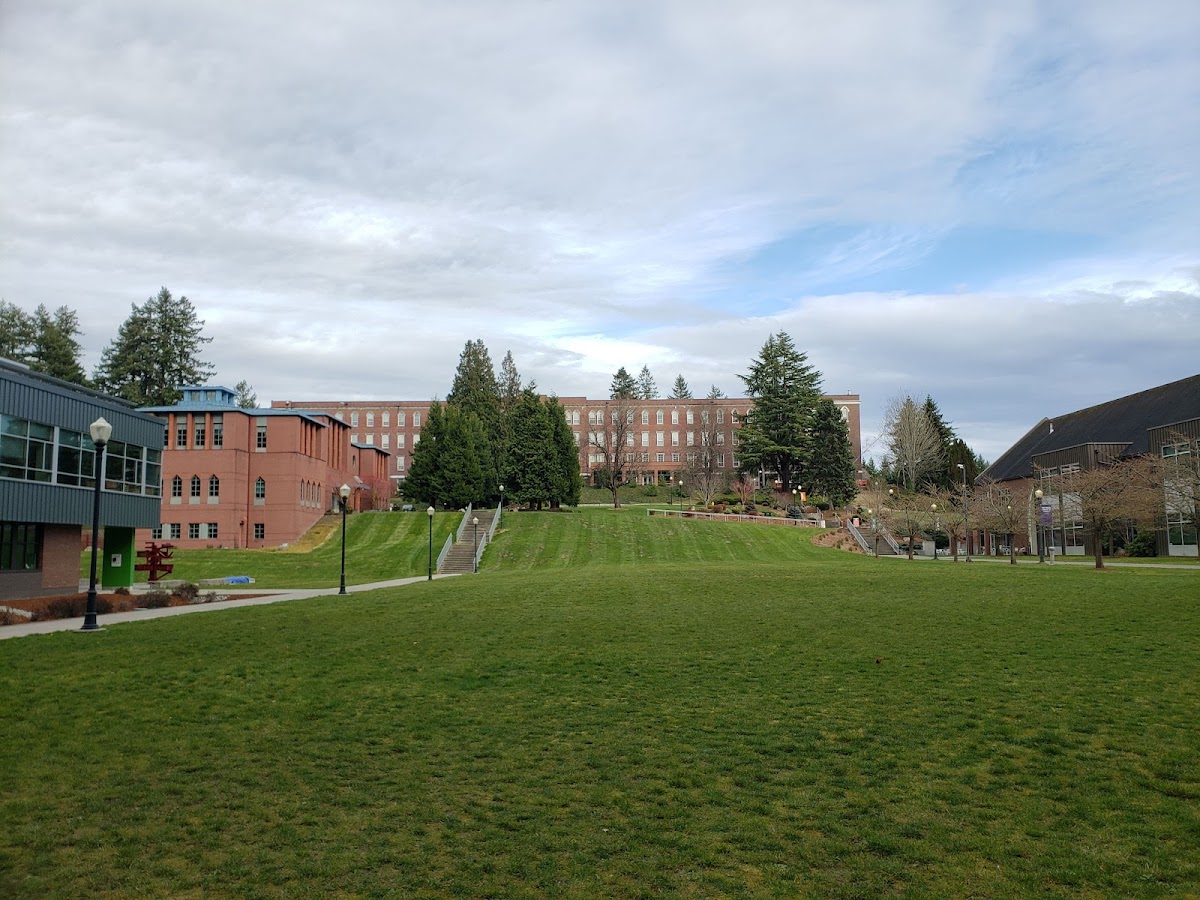 Saint Martins photo 7