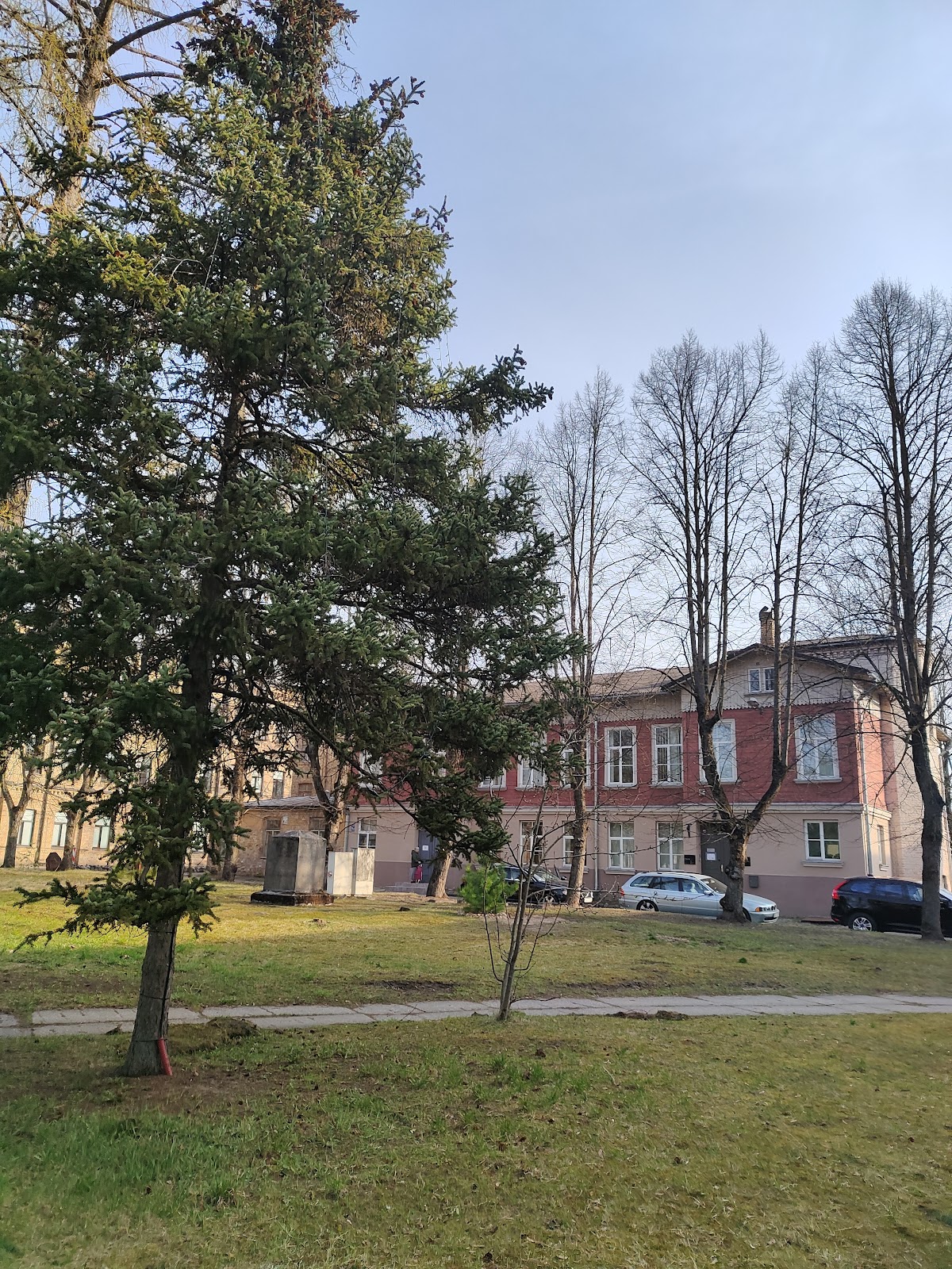 Information Systems Management Institute (ISMA) photo 5