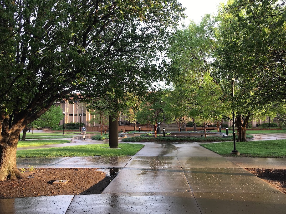 Wichita State University photo 3