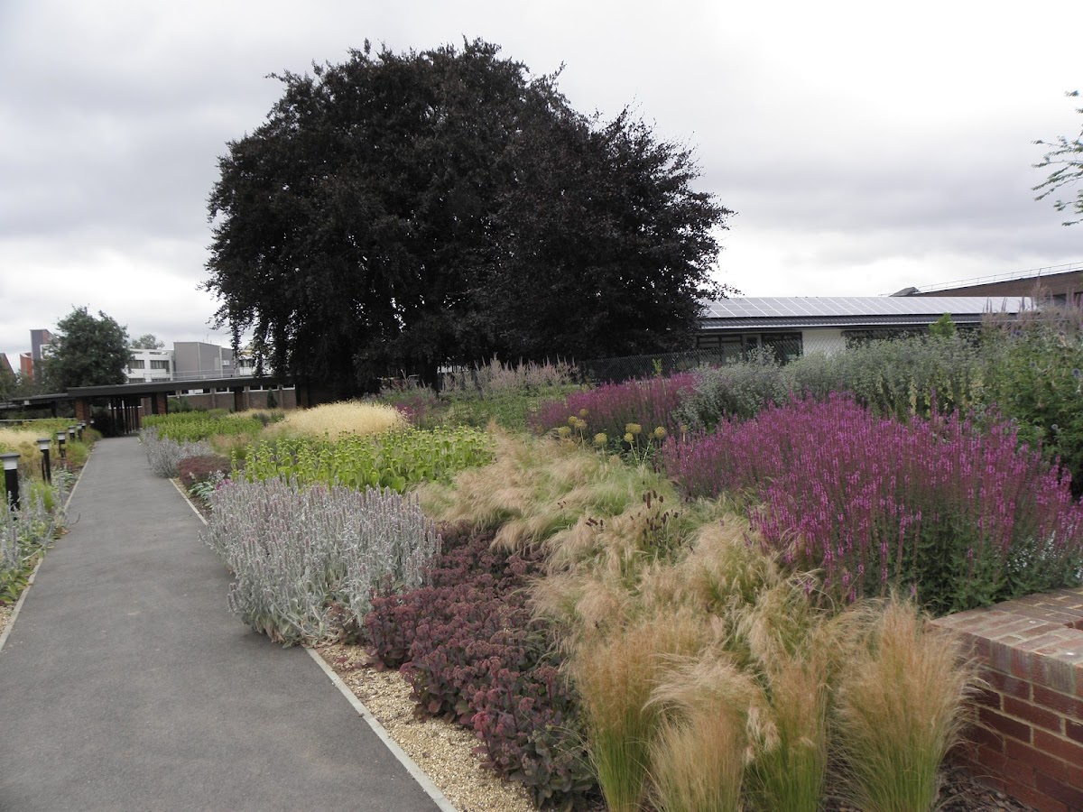 Open University photo 6