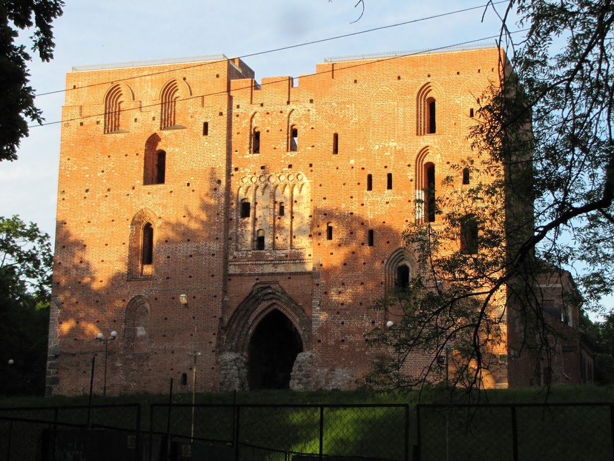 University of Tartu photo 5