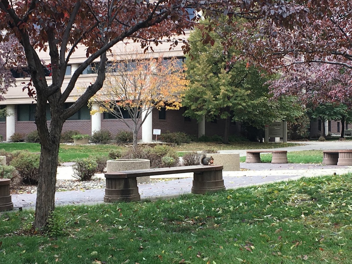 Minot State University photo 5