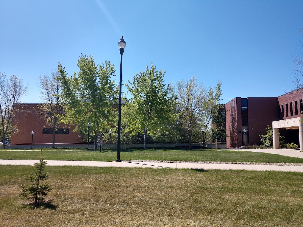 Minot State University photo 8