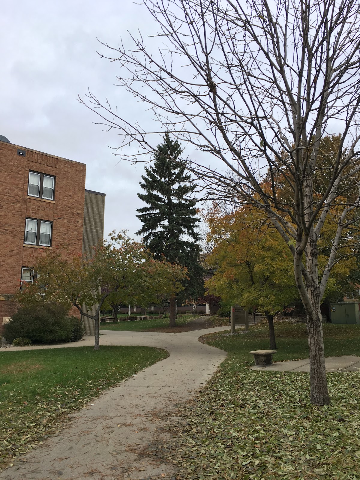 Minot State University photo 9