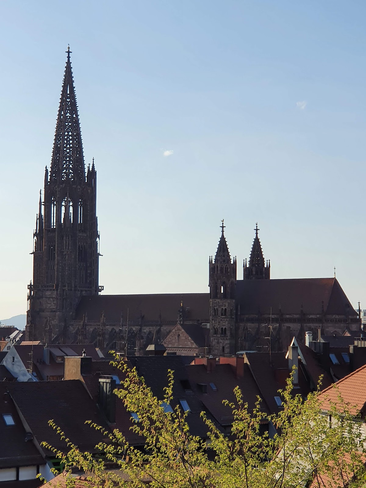 University of Freiburg photo 8