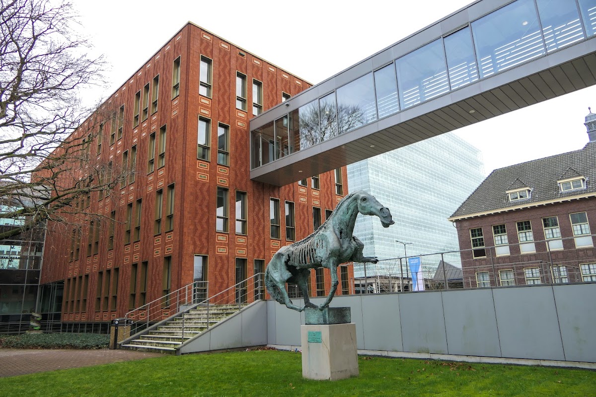 Edith Stein Hogeschool photo 5