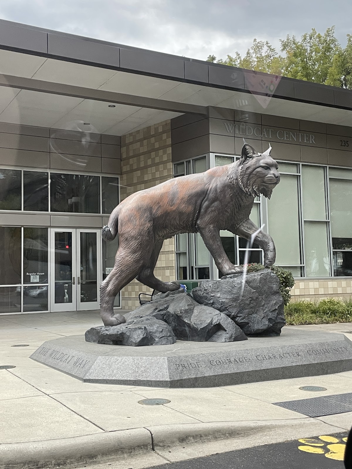 College of 2556 photo 6