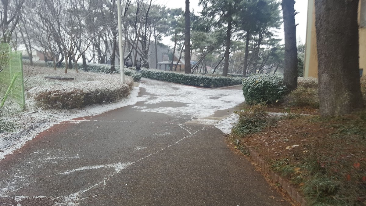 Woosuk University photo 1
