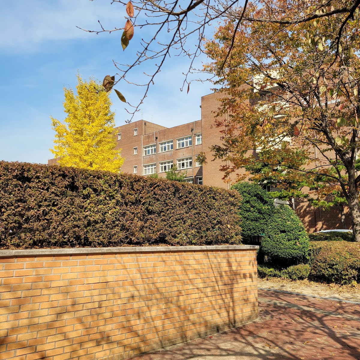 Woosuk University photo 5