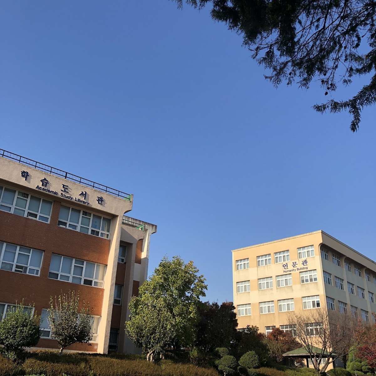 Woosuk University photo 6