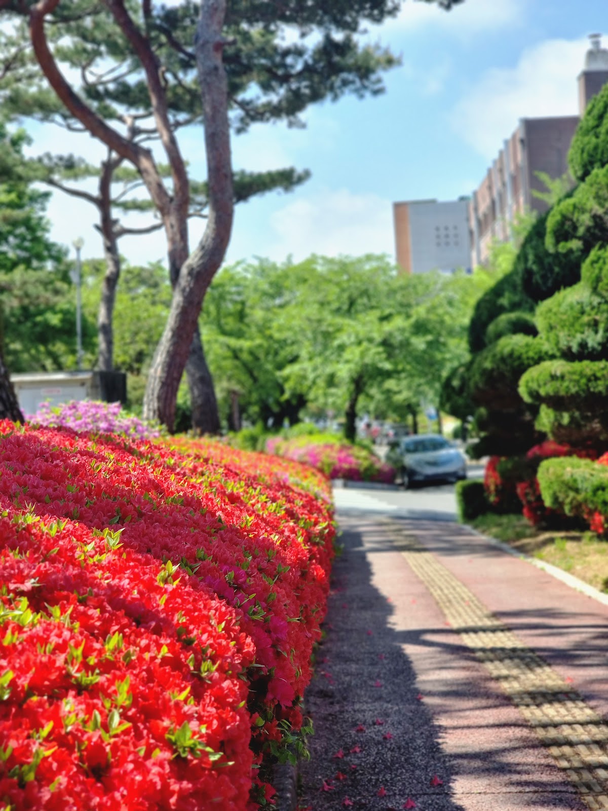 Woosuk University photo 9
