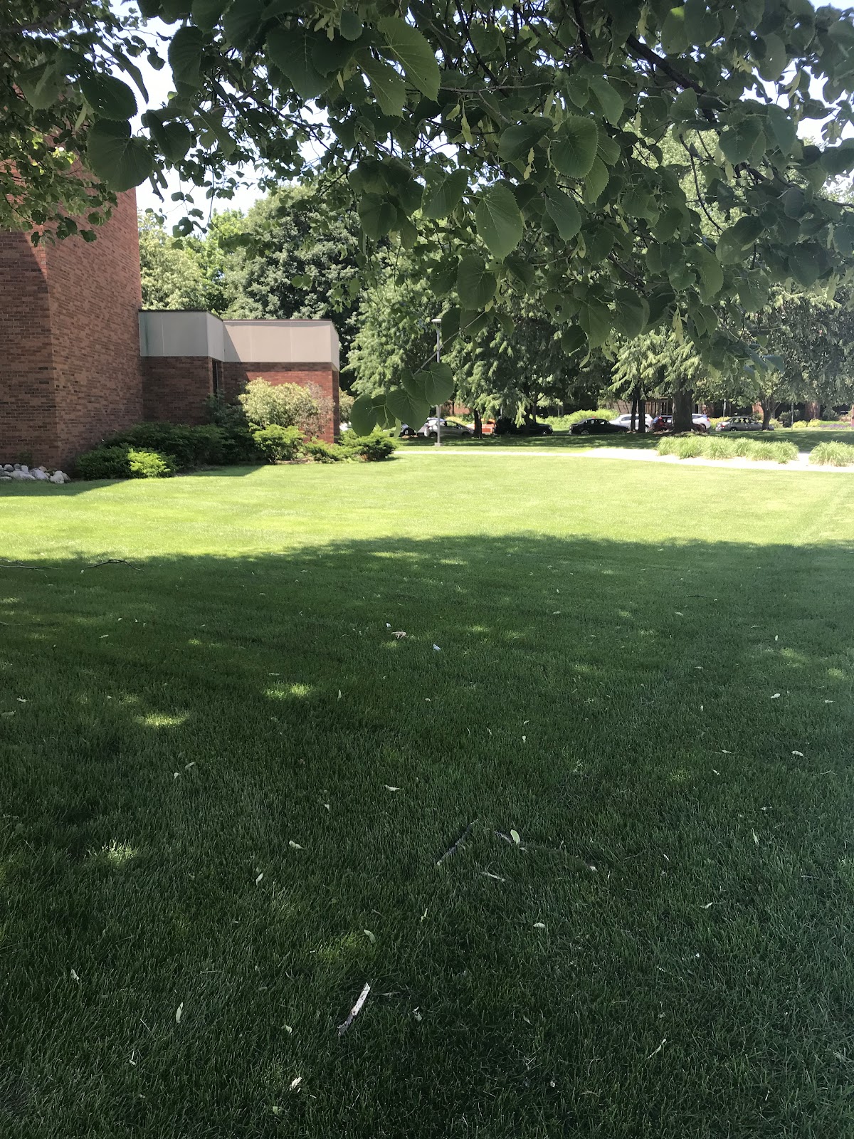 Augsburg University photo 7