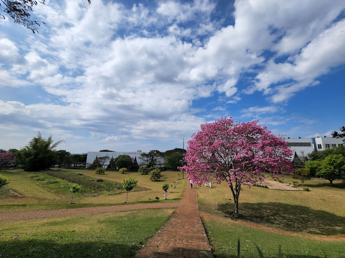 State University of the West of Paraná photo 5