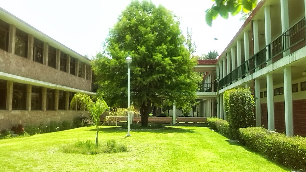Technological Institute of Celaya photo 2