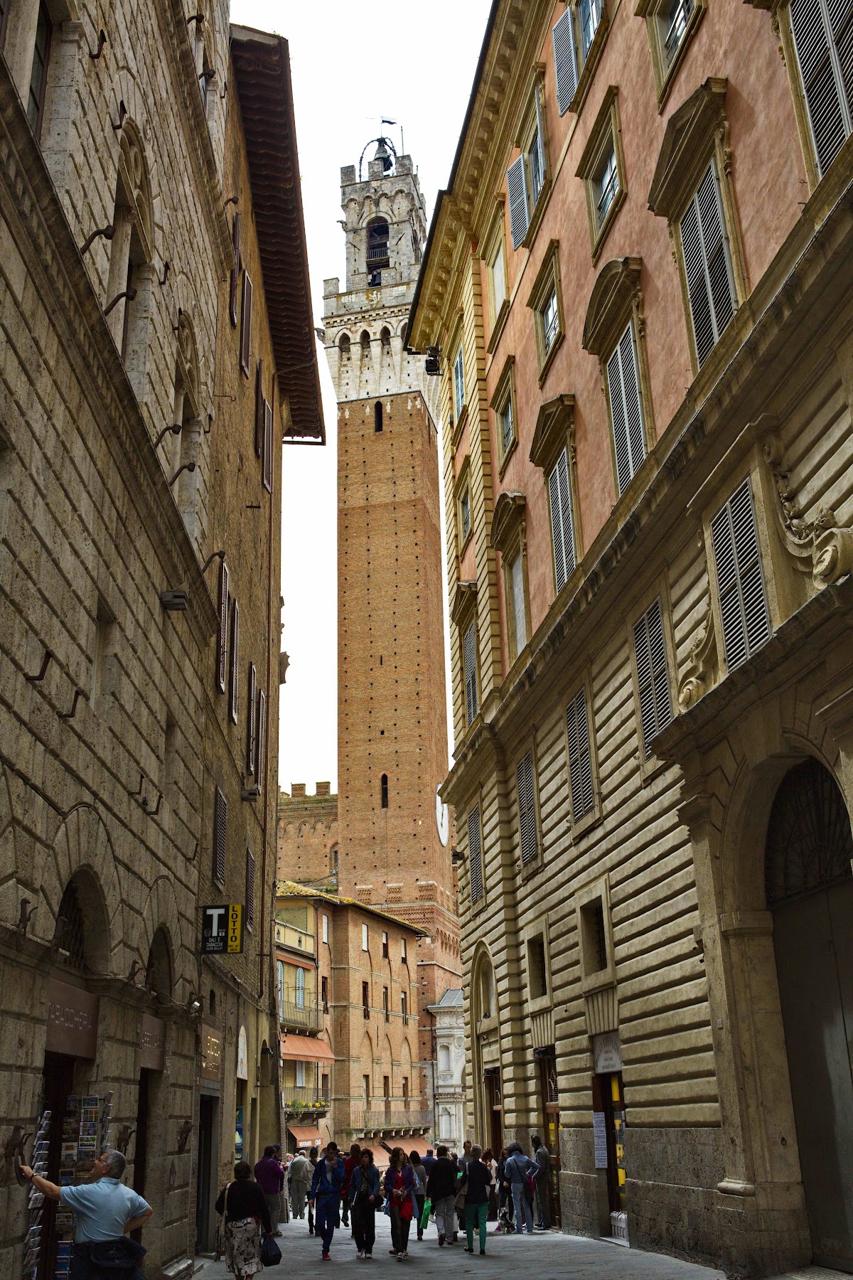 University of Siena photo 8
