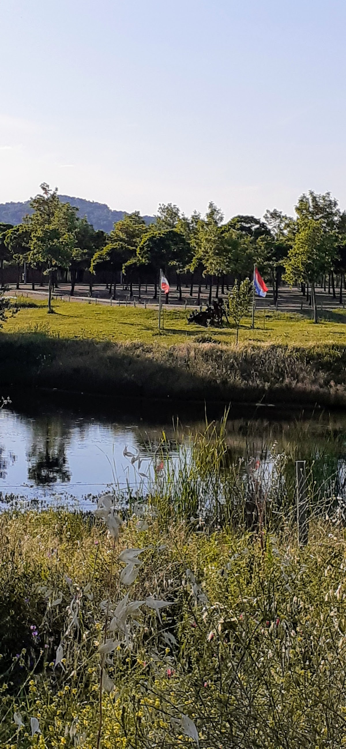 Instituto Politécnico de Portalegre photo 9