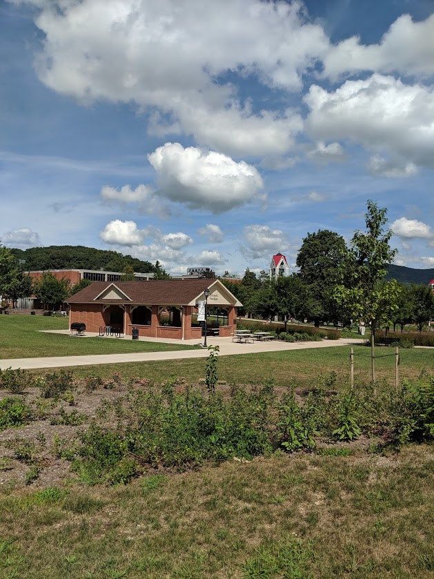Lock Haven University of Pennsylvania photo 9