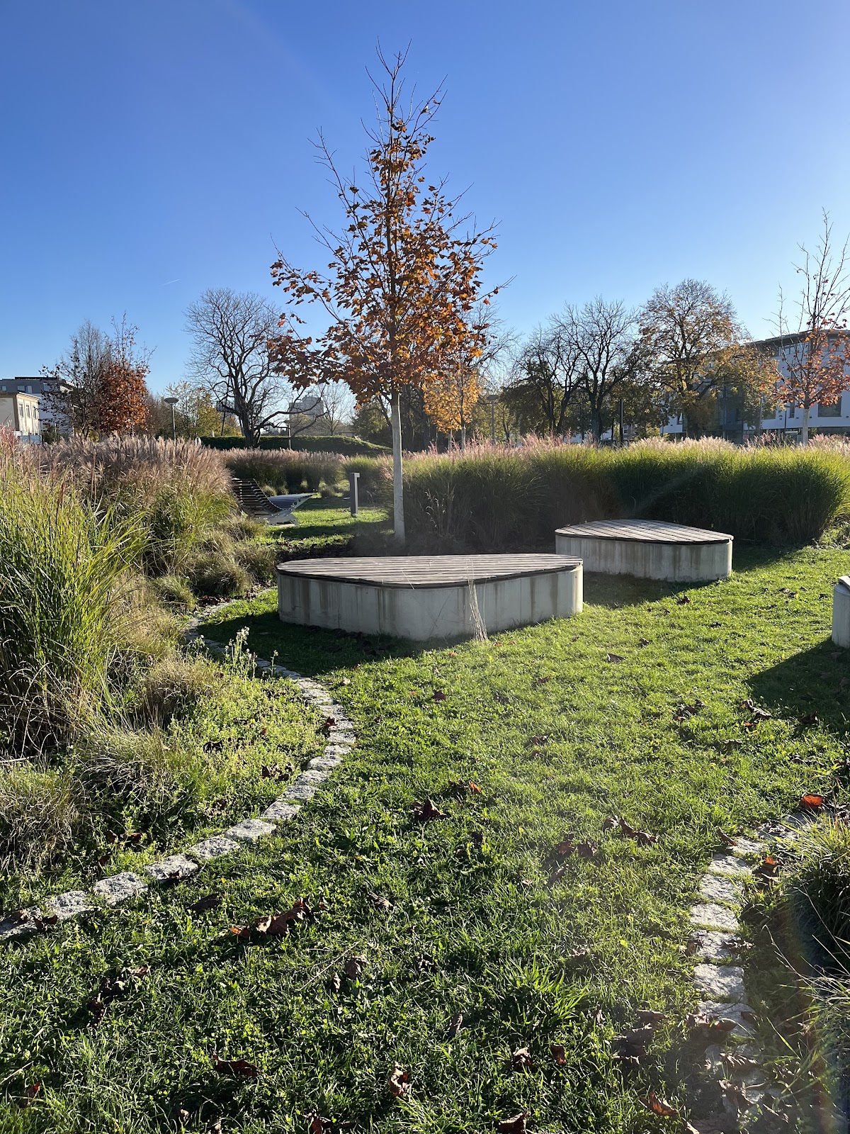 Hochschule Neu-Ulm photo 7