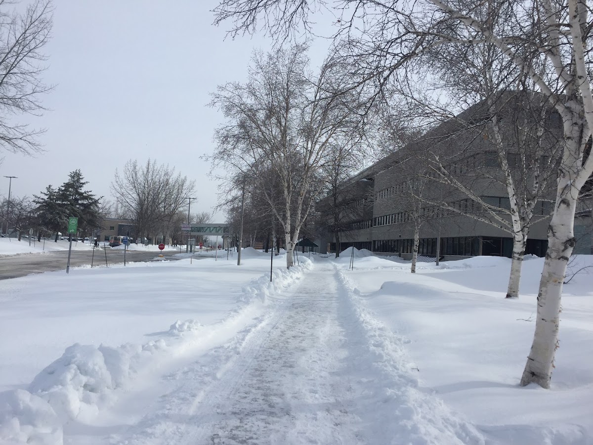 UQAC - Université du Québec à Chicoutimi photo 4