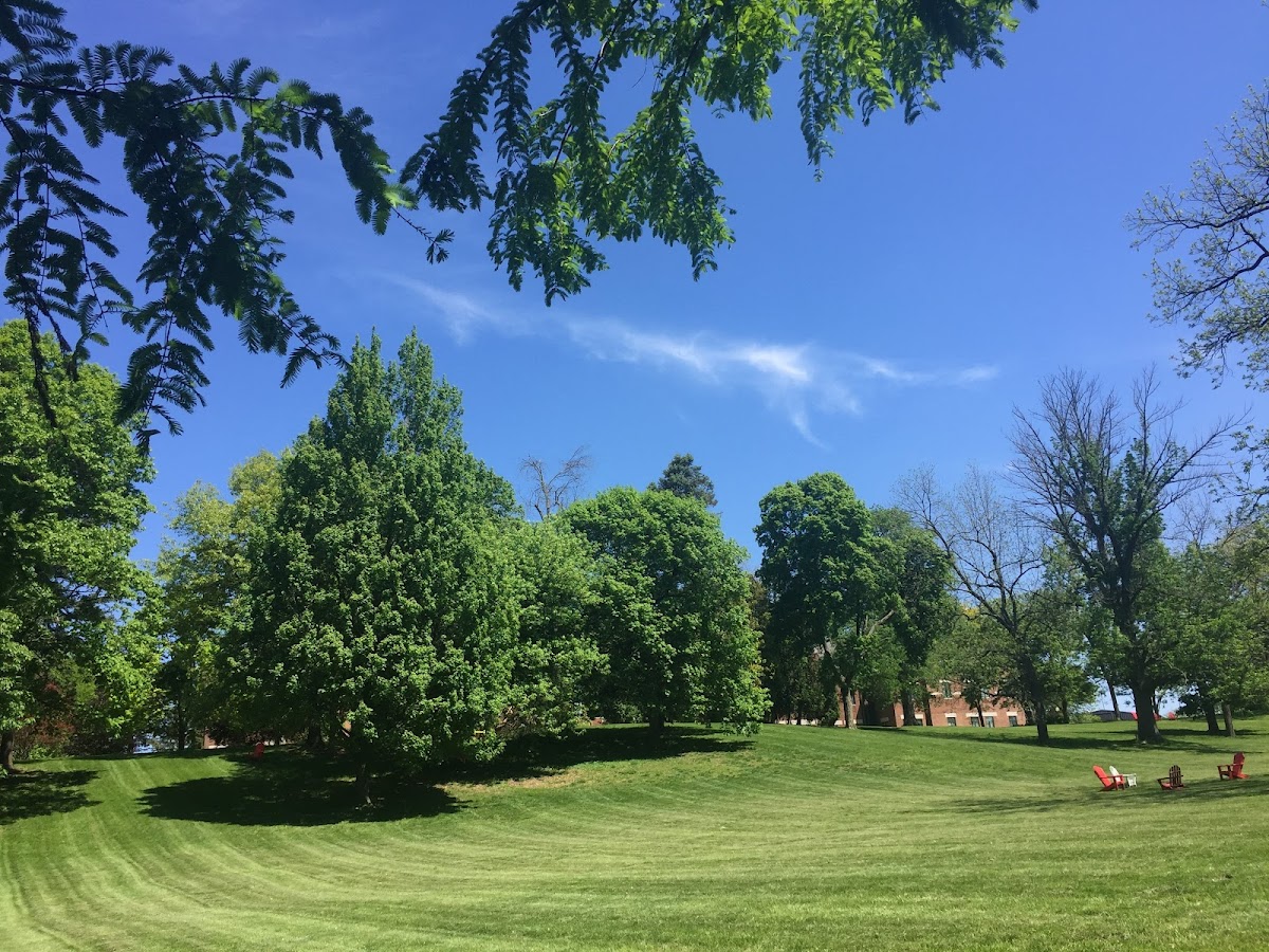 Wittenberg University photo 3