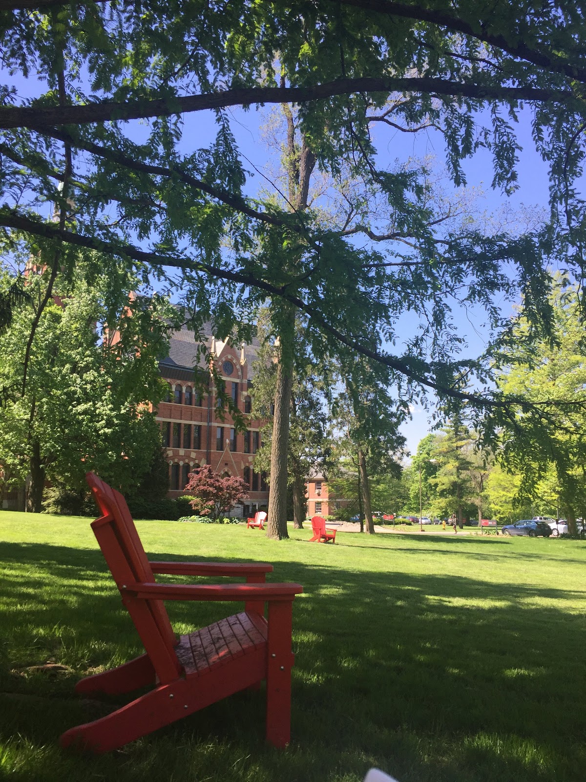 Wittenberg University photo 8